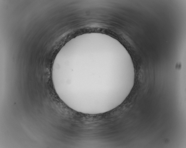 X0000112170821200909041149