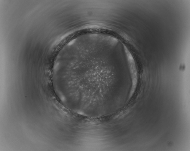 X0000112170822200909041149