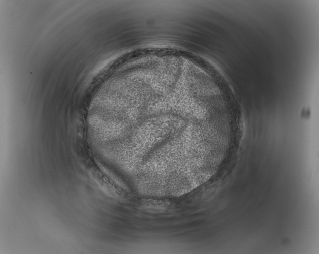 X0000112170823200909041149