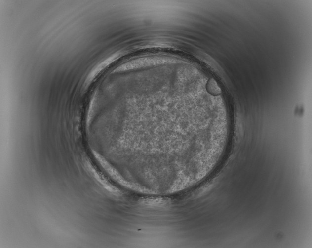 X0000112170826200909041149