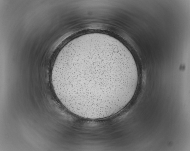 X0000112170829200909041149