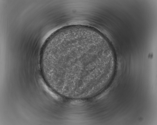 X0000112170830200909041149