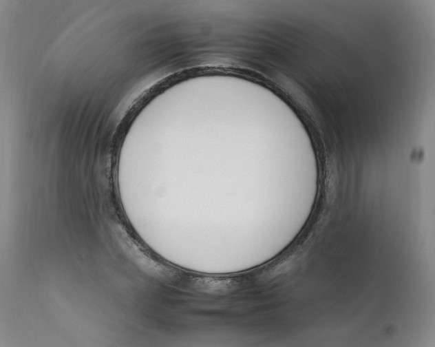 X0000112170831200909041149