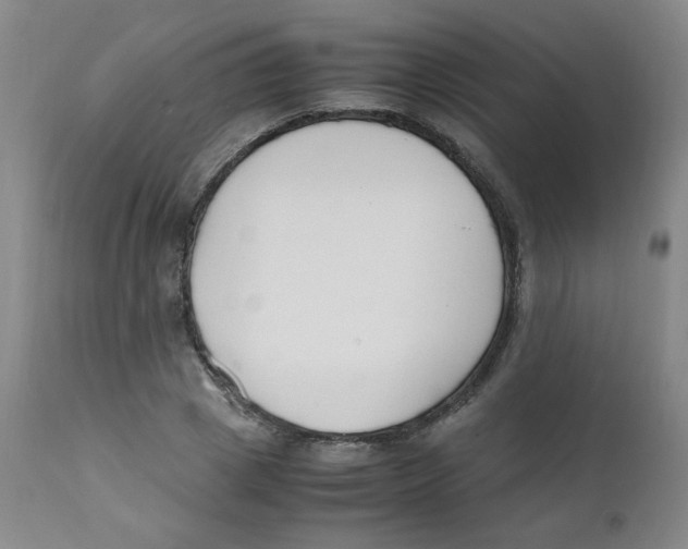 X0000112170833200909041149