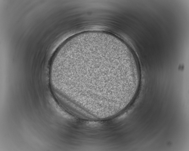 X0000112170835200909041149