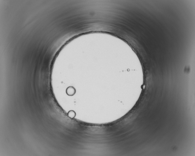 X0000112170836200909041149