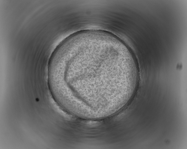 X0000112170839200909041149