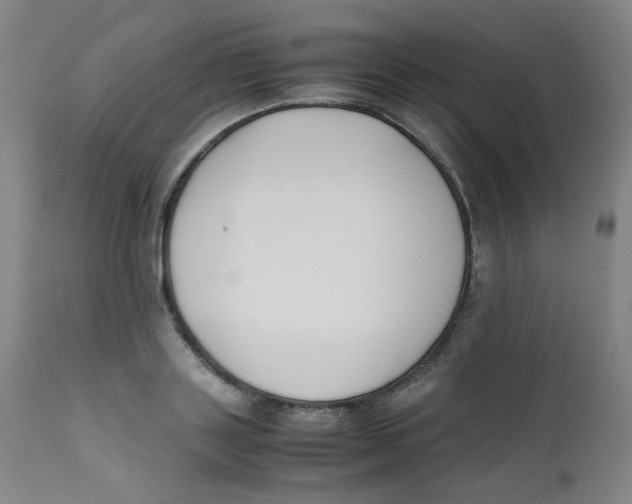 X0000112170843200909041149