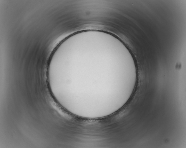 X0000112170846200909041149