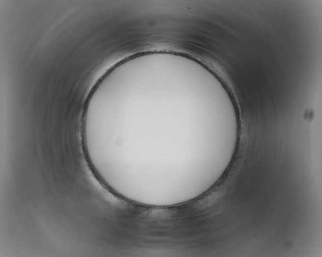 X0000112170847200909041149