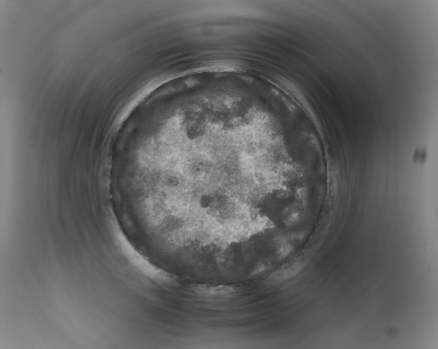 X0000112170851200909041149