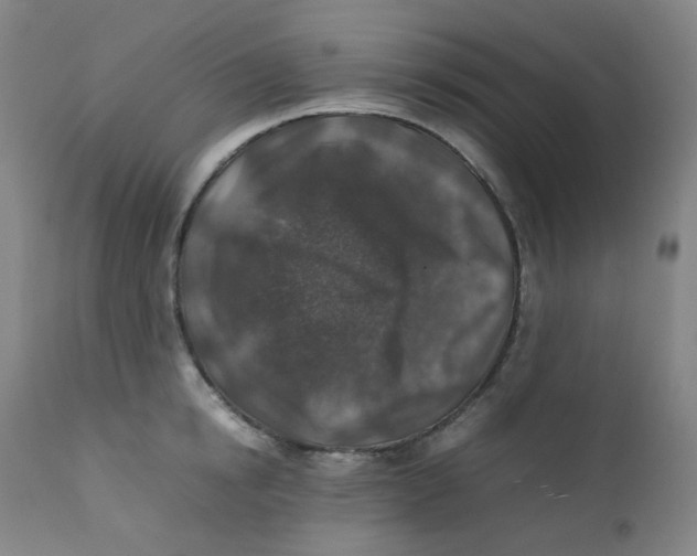 X0000112170854200909041149