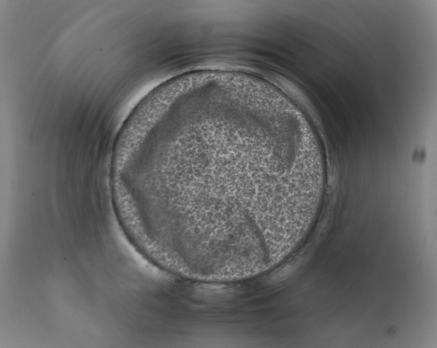 X0000112170855200909041149