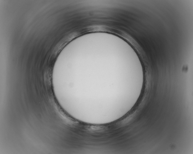 X0000112170857200909041149