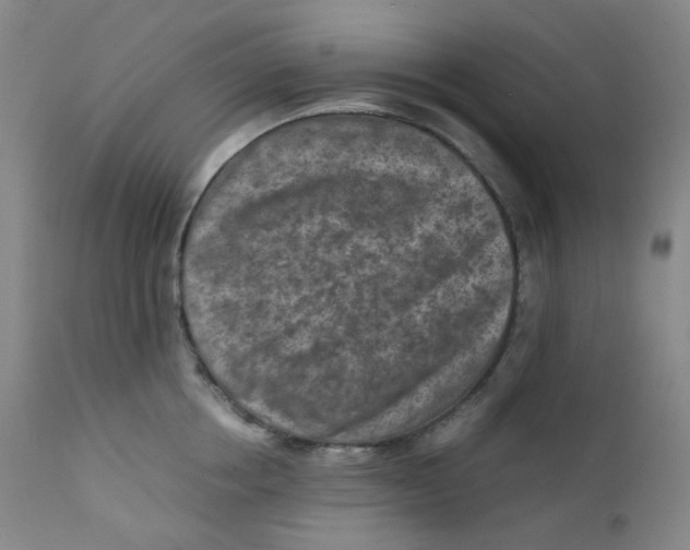 X0000112170858200909041149