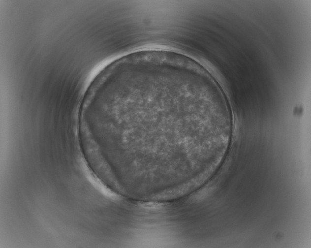 X0000112170862200909041149