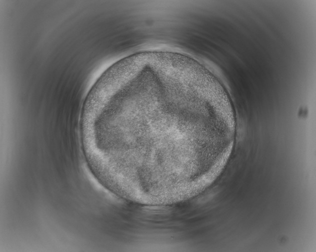 X0000112170863200909041149