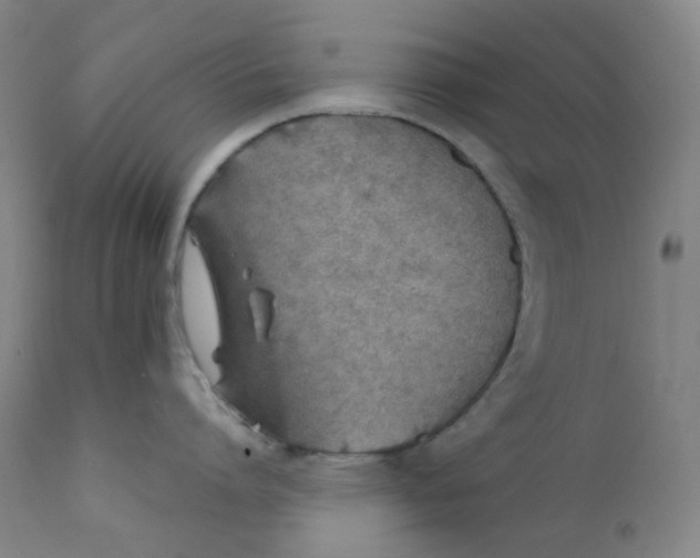 X0000112170864200909041149