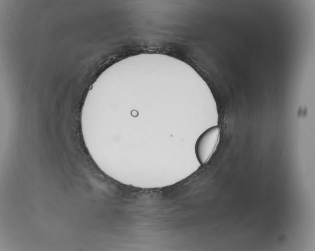 X0000112170865200909041148