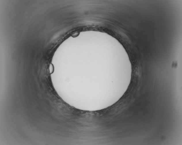 X0000112170869200909041148