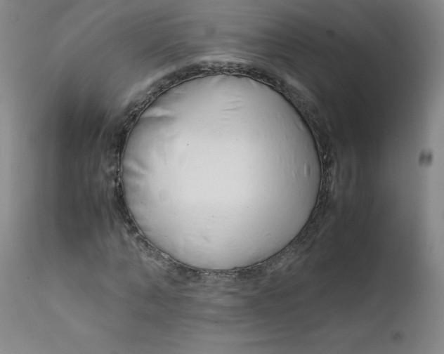 X0000112170870200909041148