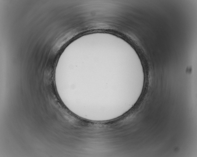 X0000112170873200909041148