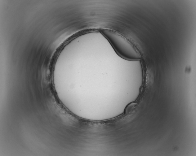 X0000112170876200909041148