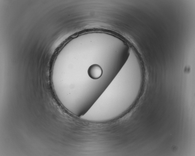 X0000112170877200909041148