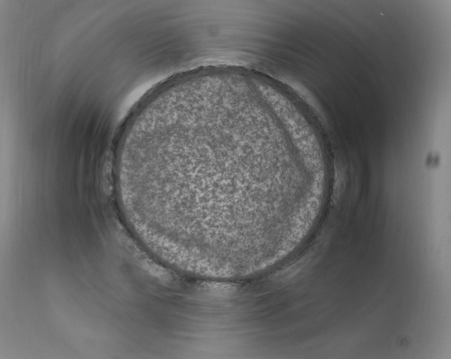 X0000112170878200909041148