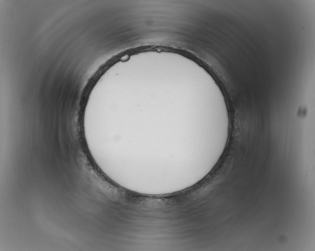 X0000112170880200909041148