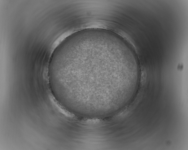 X0000112170882200909041148