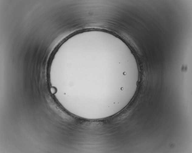 X0000112170884200909041148