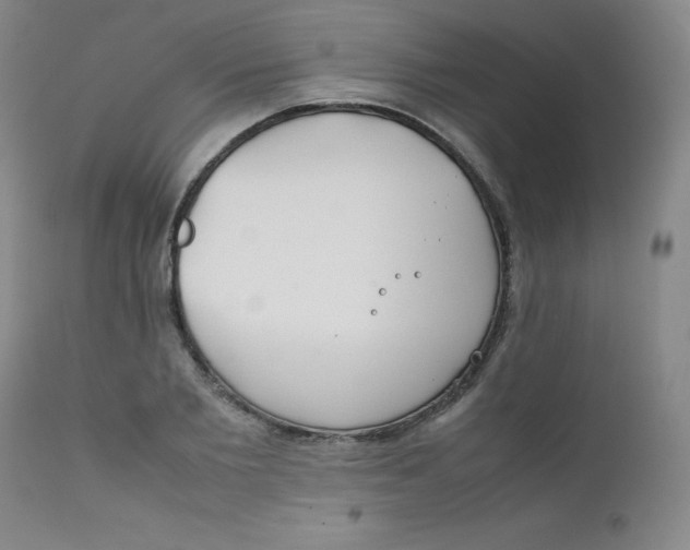 X0000112170885200909041148