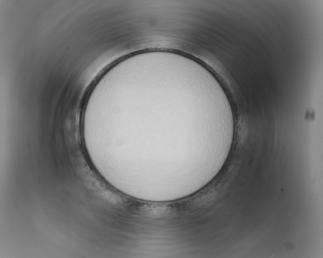 X0000112170886200909041148