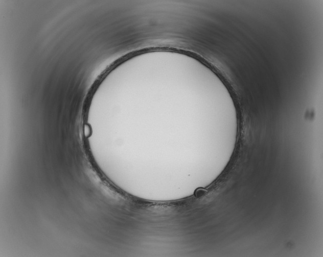 X0000112170888200909041148