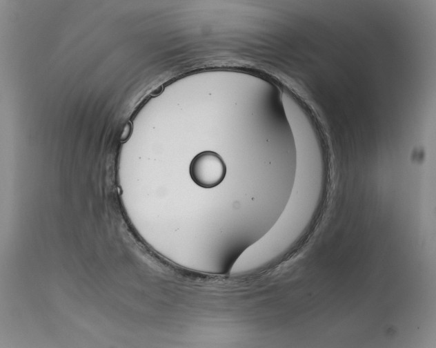 X0000112170889200909041148