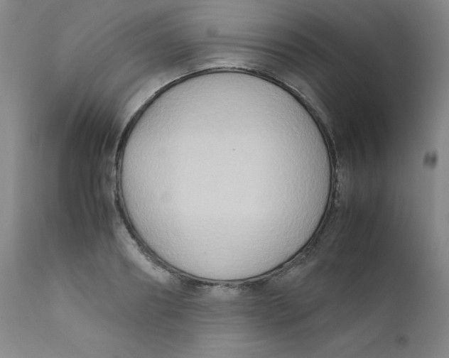 X0000112170890200909041148