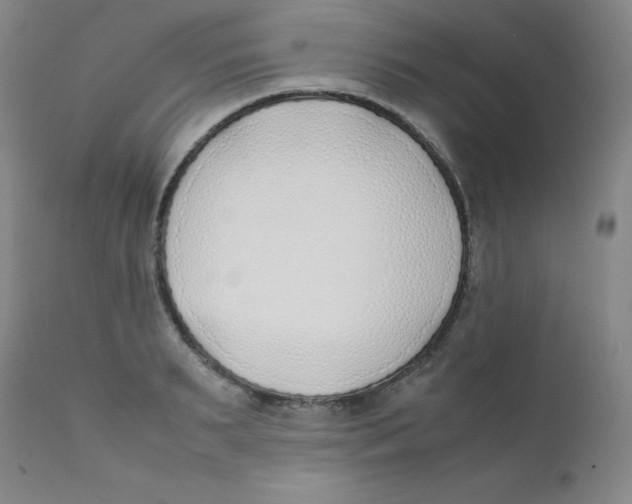 X0000112170895200909041148