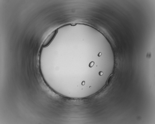 X0000112170900200909041148