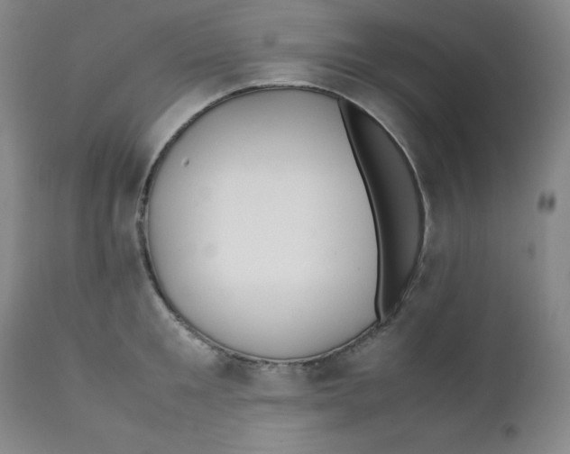 X0000112170901200909041148