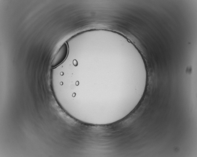 X0000112170904200909041148