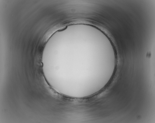 X0000112170905200909041148