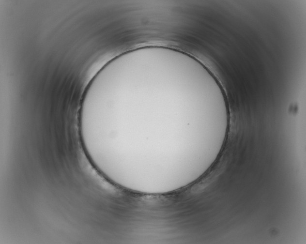 X0000112170906200909041148