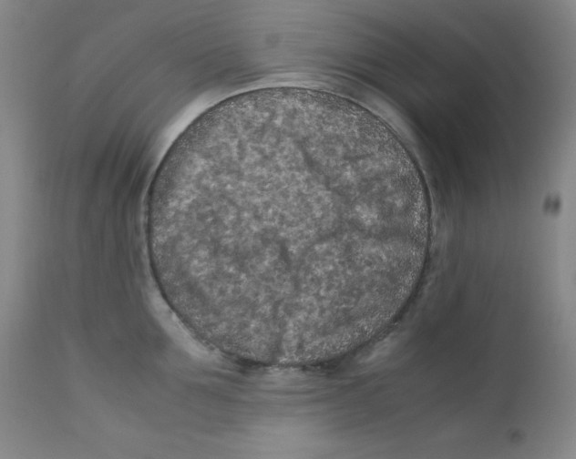 X0000112170907200909041148