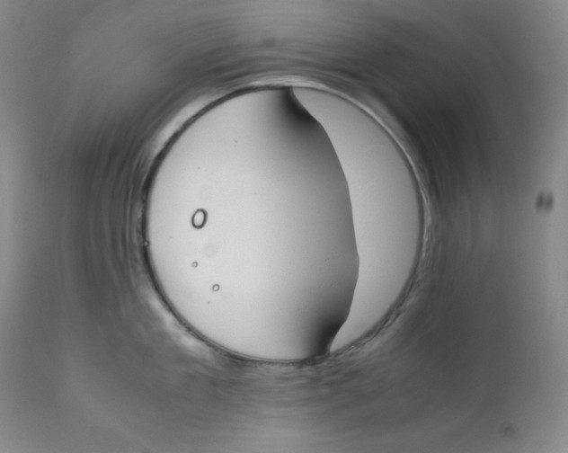 X0000112170909200909041148