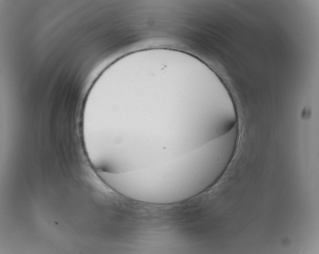 X0000112170912200909041148