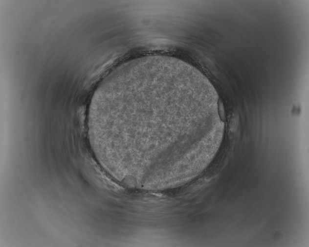 X0000112170916200909041147