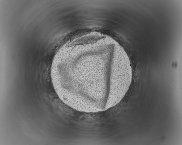 X0000112170917200909041147