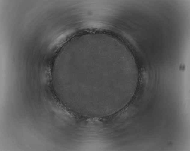 X0000112170918200909041147