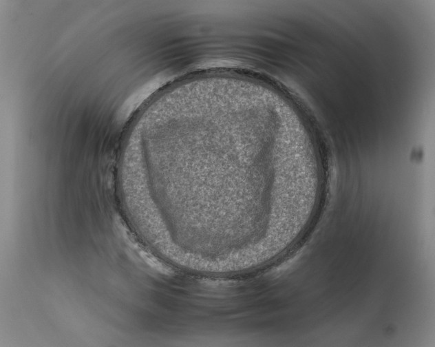 X0000112170921200909041147